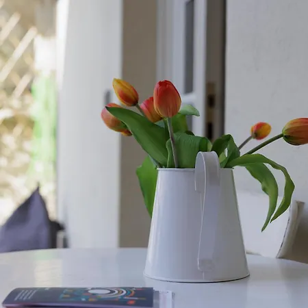 Virgula Maison 2 Apartment *