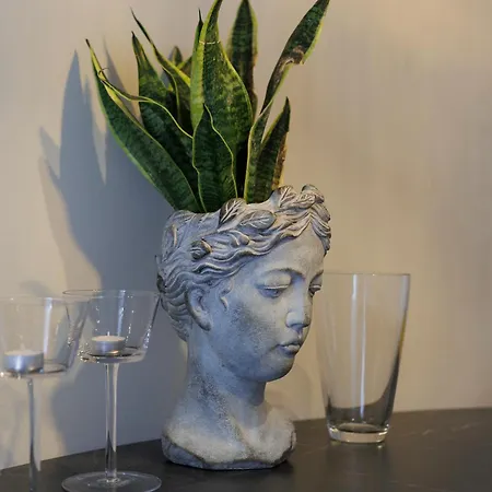 Apartment Virgula Maison 2 *